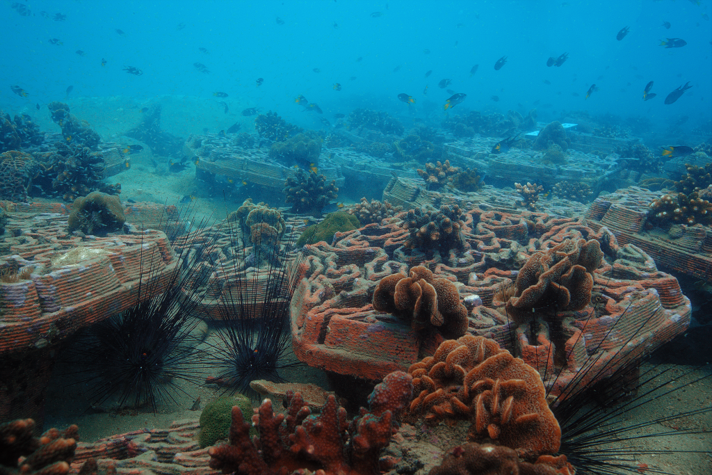 Archireef Reef Tiles